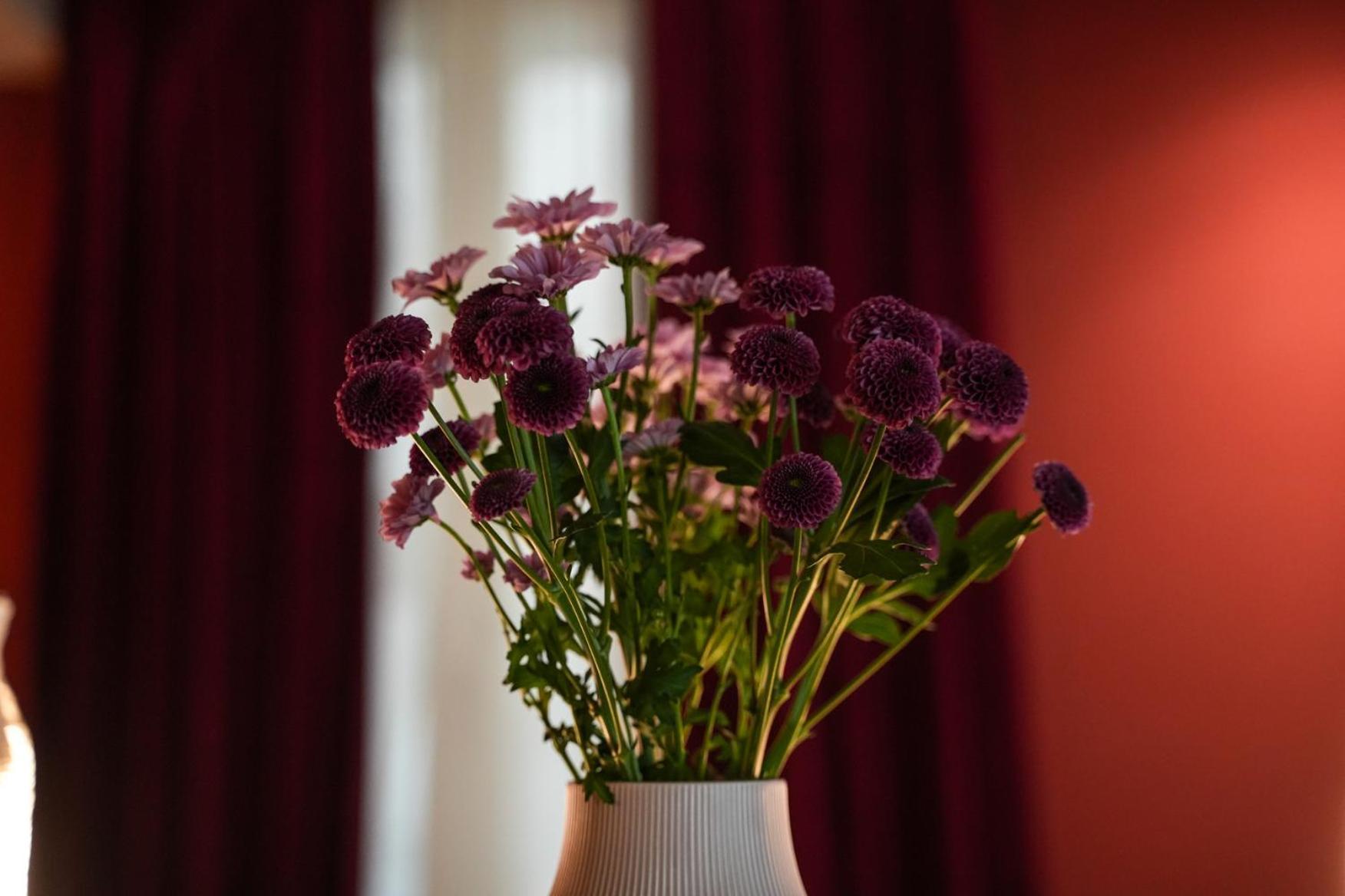 Bed and Breakfast Sant'Eufemia 30 Modena Zewnętrze zdjęcie